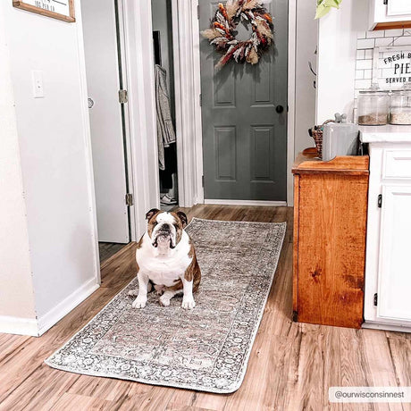 Tan Jill Vintage Washable Area Rug - Clearance - Ornate Home