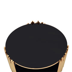 Tanquin Coffee Table in Gold/Black - Ornate Home