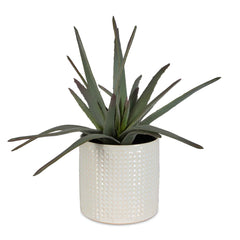 Taos Green/White Aloe Centerpiece - Ornate Home