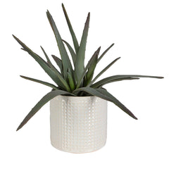 Taos Green/White Aloe Centerpiece - Ornate Home