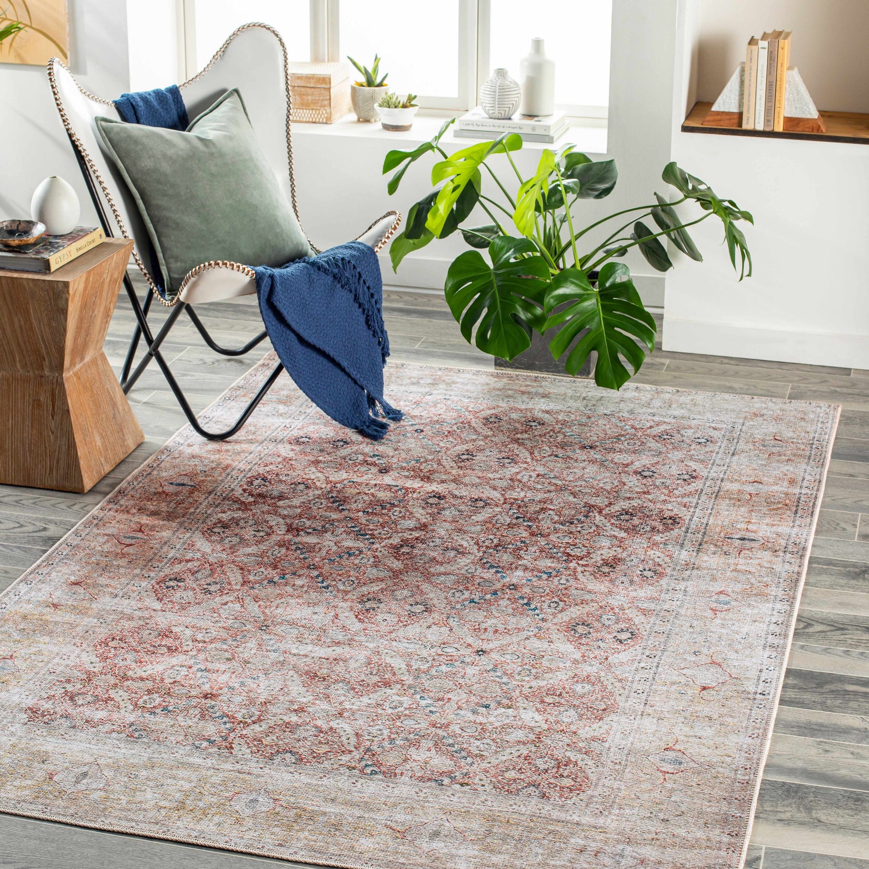 Tapia Washable Area Rug - Clearance - Ornate Home