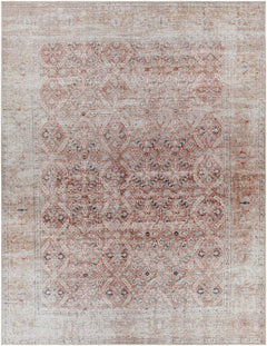 Tapia Washable Area Rug - Clearance - Ornate Home