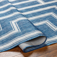 Taro Blue Outdoor Area Rug - Clearance - Ornate Home