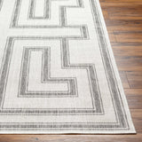 Taro Light Gray Outdoor Area Rug - Clearance - Ornate Home