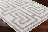 Taro Light Gray Outdoor Area Rug - Clearance - Ornate Home