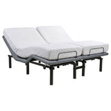 Tasca Black / Grey 2-Piece Split Eastern King Dual-motor Adjustable Bed Base - Ornate Home
