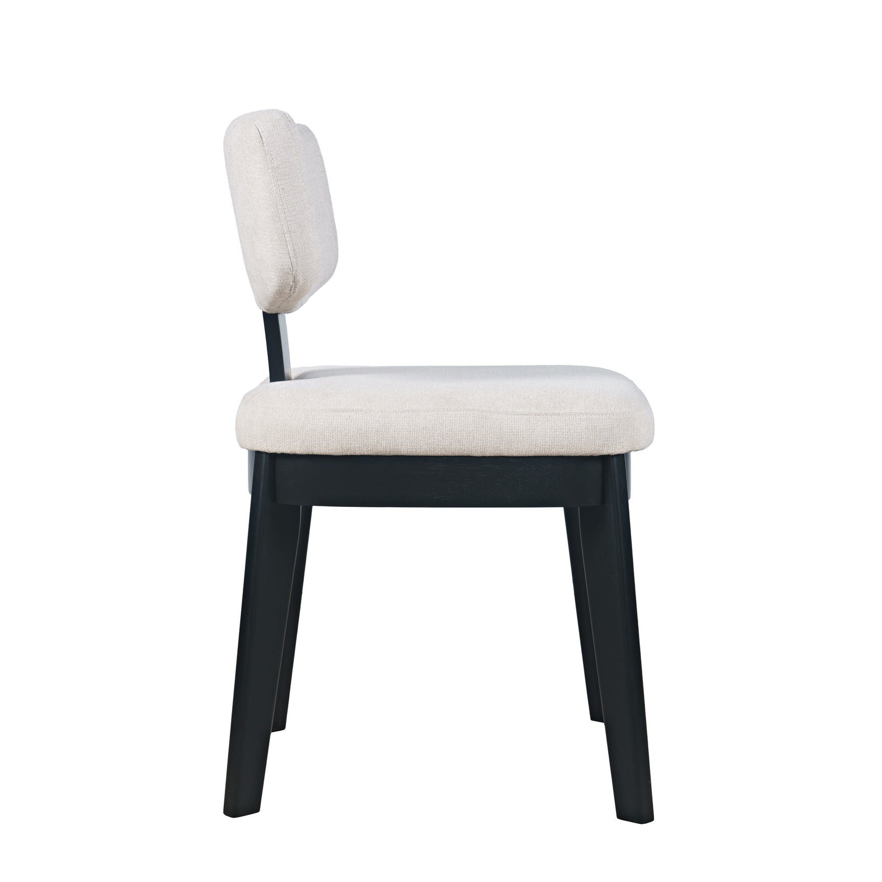 Tate Black Chair (Set of 2) - Ornate Home