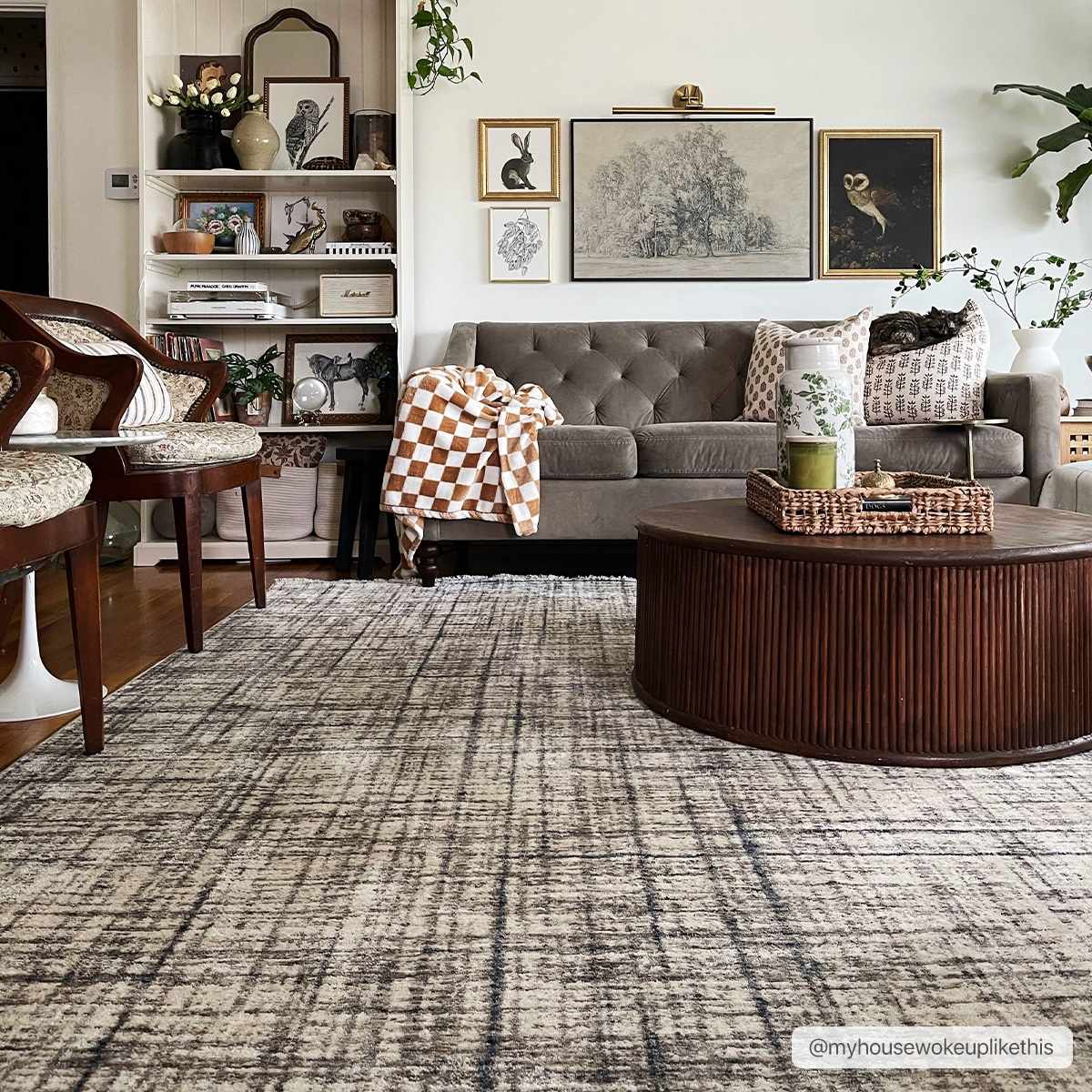 Taysan Area Rug - Clearance - Ornate Home