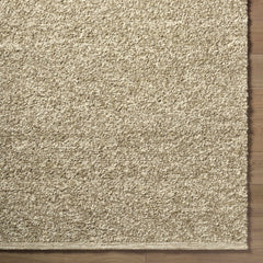 Teela Beige Area Rug - Clearance - Ornate Home