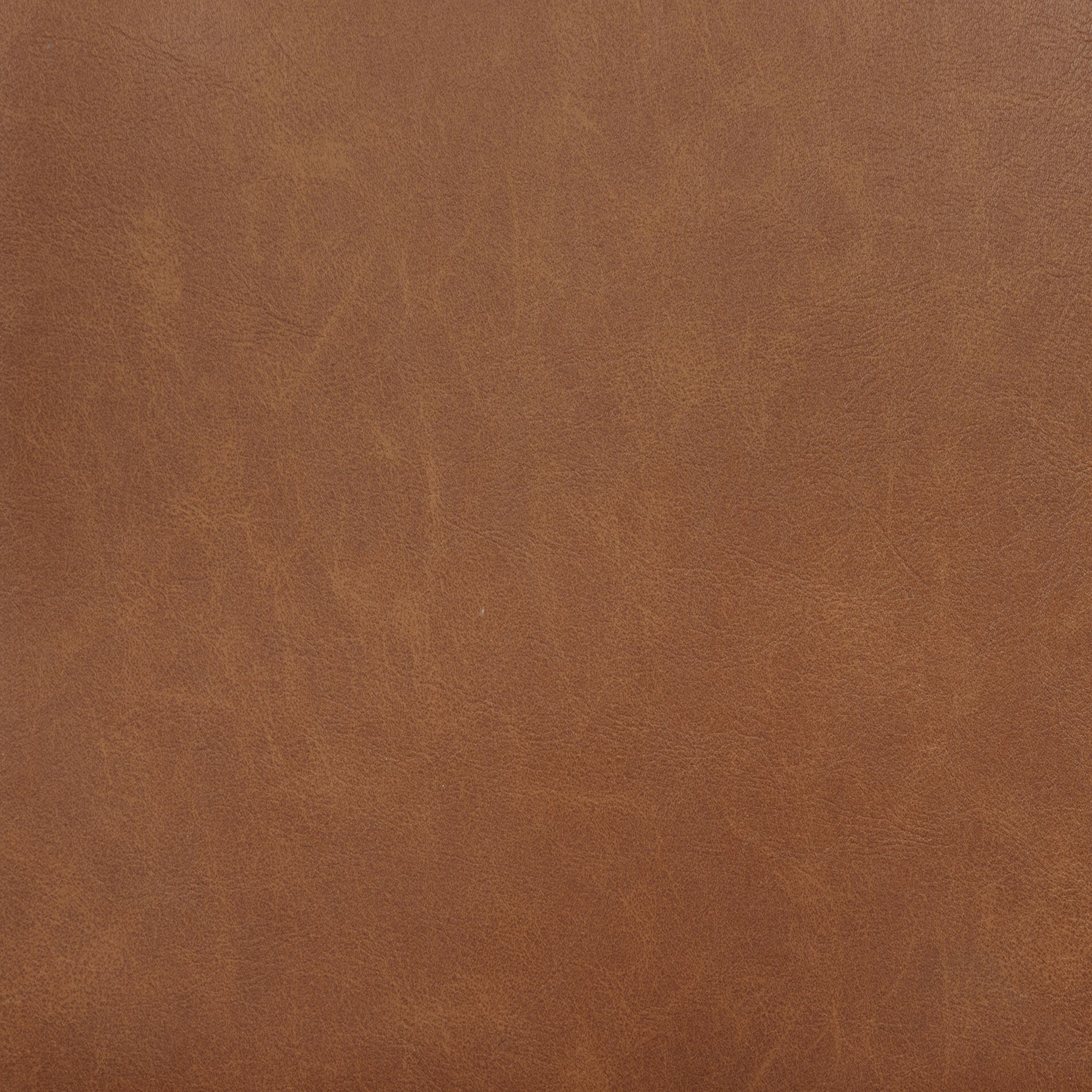 Tegan Cognac Faux Leather Upholstered Dining Side Chair (Set of 2) - Ornate Home