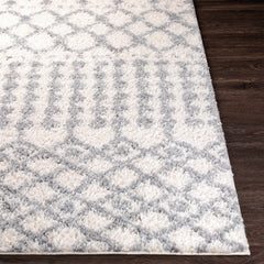 Teheran Area Rug - Clearance - Ornate Home