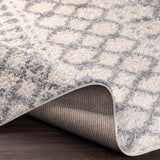 Teheran Area Rug - Clearance - Ornate Home