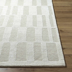 Teige Light Silver Area Rug - Ornate Home