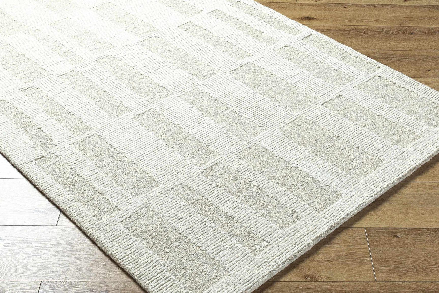 Teige Light Silver Area Rug - Ornate Home