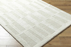Teige Light Silver Area Rug - Ornate Home