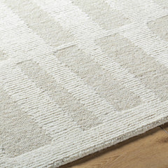 Teige Light Silver Area Rug - Ornate Home