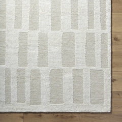 Teige Light Silver Area Rug - Ornate Home