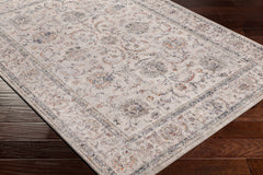 Temelec Area Rug - Clearance - Ornate Home