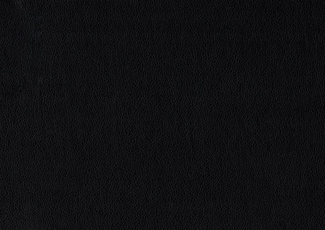 Tempe Black Side Chair (Set of 4) - Ornate Home