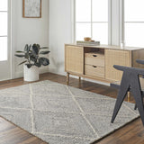 Tene Tufted Wool Area Rug - Clearance - Ornate Home