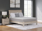 Terra Sleep Medium White California King Mattress - Ornate Home