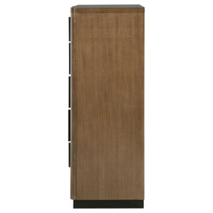 Terrace Ash Brown Chest - Ornate Home