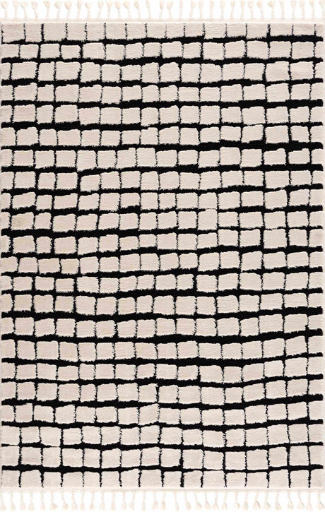 Teshi Checkered Area Rug - Ornate Home