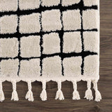 Teshi Checkered Area Rug - Ornate Home