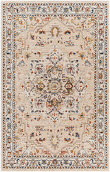 Teva Traditional Style Rug - Clearance - Ornate Home