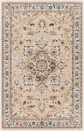 Teva Traditional Style Rug - Clearance - Ornate Home