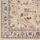 Teva Traditional Style Rug - Clearance - Ornate Home
