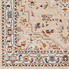 Teva Traditional Style Rug - Clearance - Ornate Home