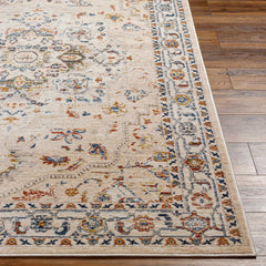 Teva Traditional Style Rug - Clearance - Ornate Home