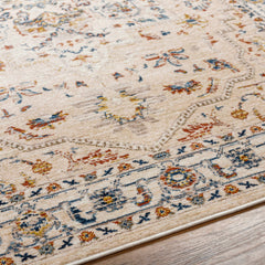 Teva Traditional Style Rug - Clearance - Ornate Home