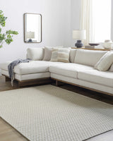Tevah Siver Wool Rug - Ornate Home