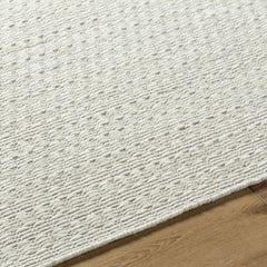 Tevah Siver Wool Rug - Ornate Home