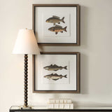 The Catch Multicolor Framed Fish Prints (Set of 2) - Ornate Home