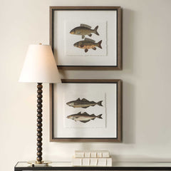 The Catch Multicolor Framed Fish Prints (Set of 2) - Ornate Home