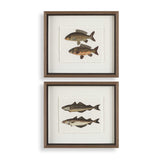 The Catch Multicolor Framed Fish Prints (Set of 2) - Ornate Home