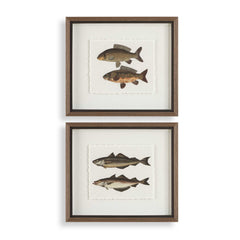 The Catch Multicolor Framed Fish Prints (Set of 2) - Ornate Home