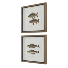 The Catch Multicolor Framed Fish Prints (Set of 2) - Ornate Home
