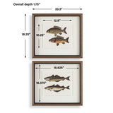 The Catch Multicolor Framed Fish Prints (Set of 2) - Ornate Home