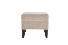 Theo Accent Chair & Ottoman - Ornate Home