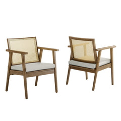 Thera Weathered Oak/Stone Vegan Leather and Cane Accent Armchairs (Set of 2) - Ornate Home
