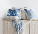 Theta Capri Blue 26"x26" Throw Pillow (Set of 2)