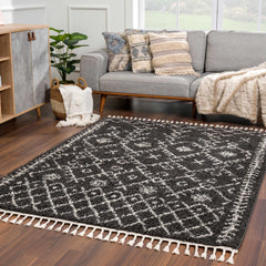 Thetford Black Berber Shag Rug - Clearance - Ornate Home