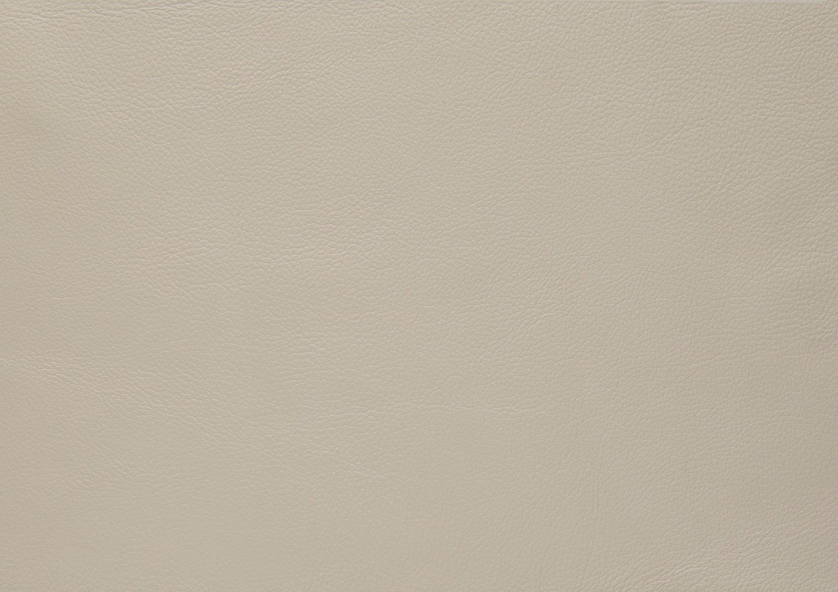 Thierry Cream Loveseat - Ornate Home