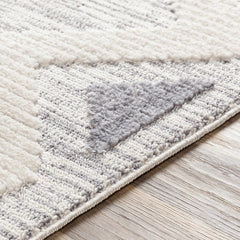 Thornburg High/Low Pile Rug with Tassels - Clearance - Ornate Home