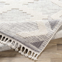 Thornburg High/Low Pile Rug with Tassels - Clearance - Ornate Home