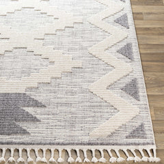 Thornburg High/Low Pile Rug with Tassels - Clearance - Ornate Home